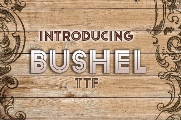 Bushel: A Retro Display Font That Feels Like Home